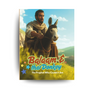 Balaam and the Donkey: The Prophet Who Couldn't See