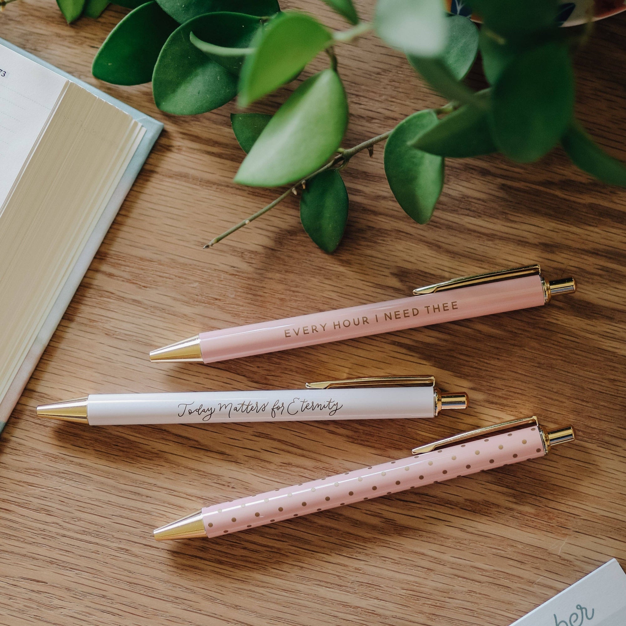 Three pens with motivational quotes on a wooden surface with green leaves.