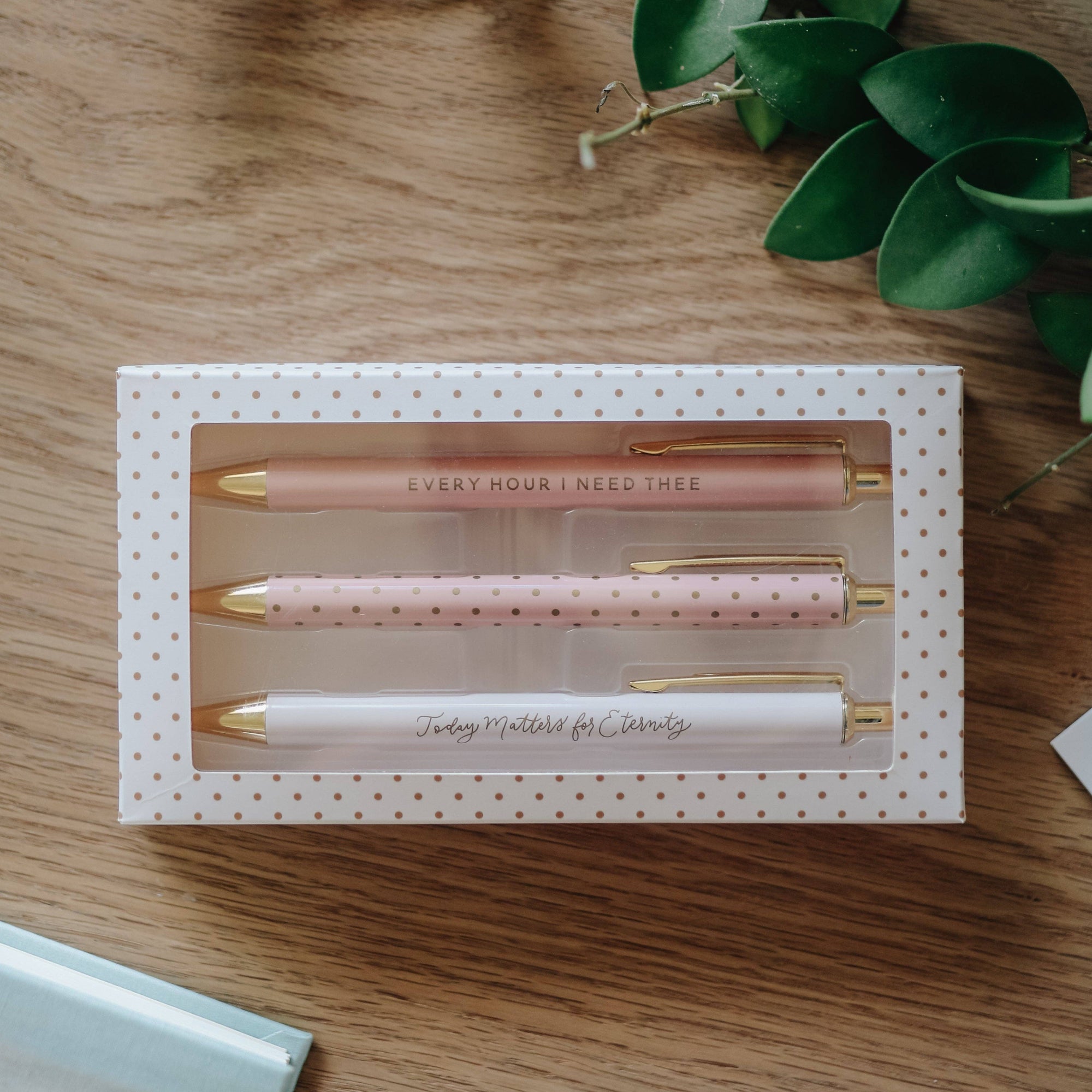 Set of three pens in a polka dot box on a wooden surface with green leaves.