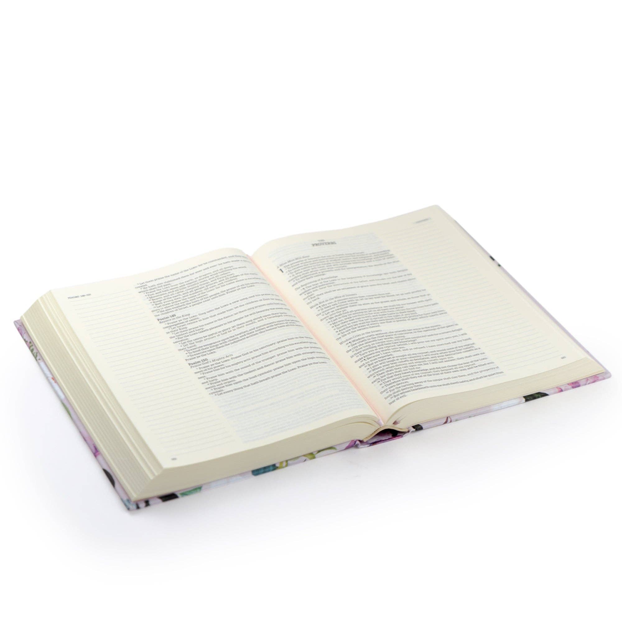 Open book on a white background