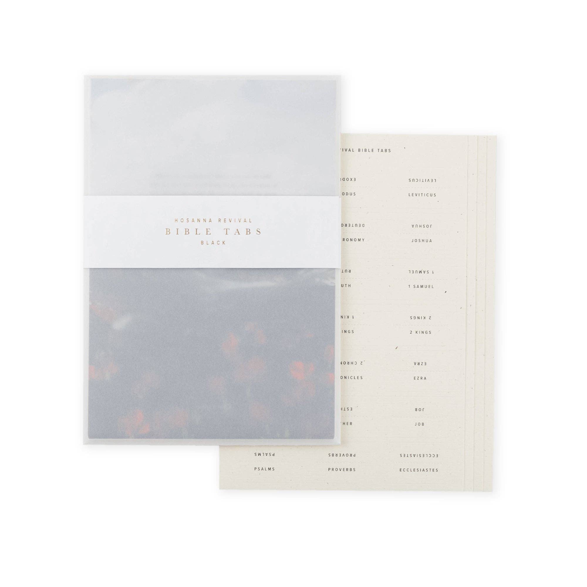 Bible with a gray cover and a white page with text on a white background