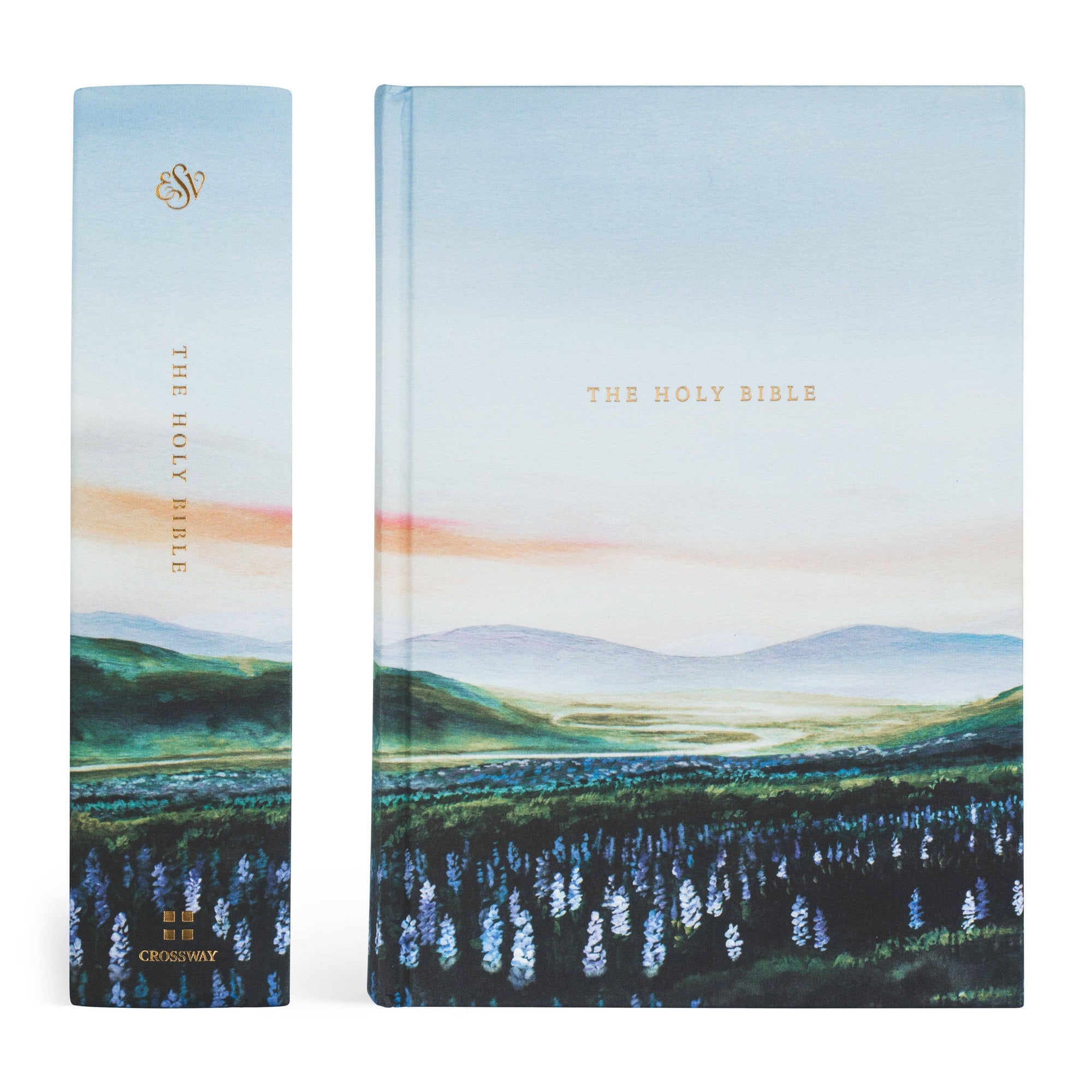 Two books with a landscape design on the cover, featuring mountains and trees, on a white background.