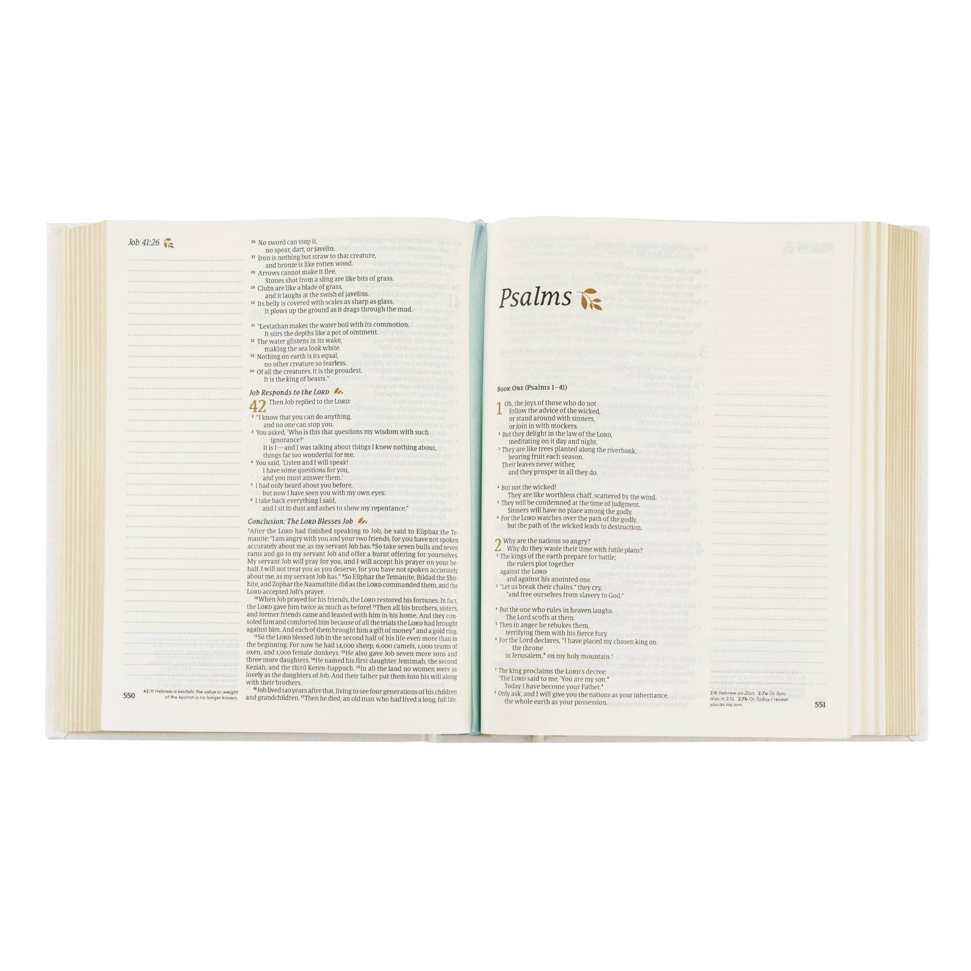 Open book showing the beginning of the Psalms section on a white background
