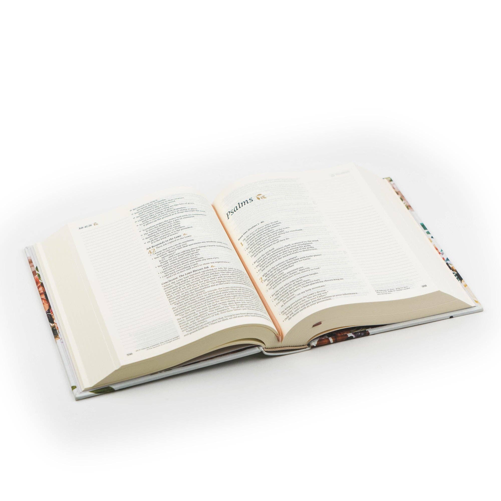 Open book on a white background