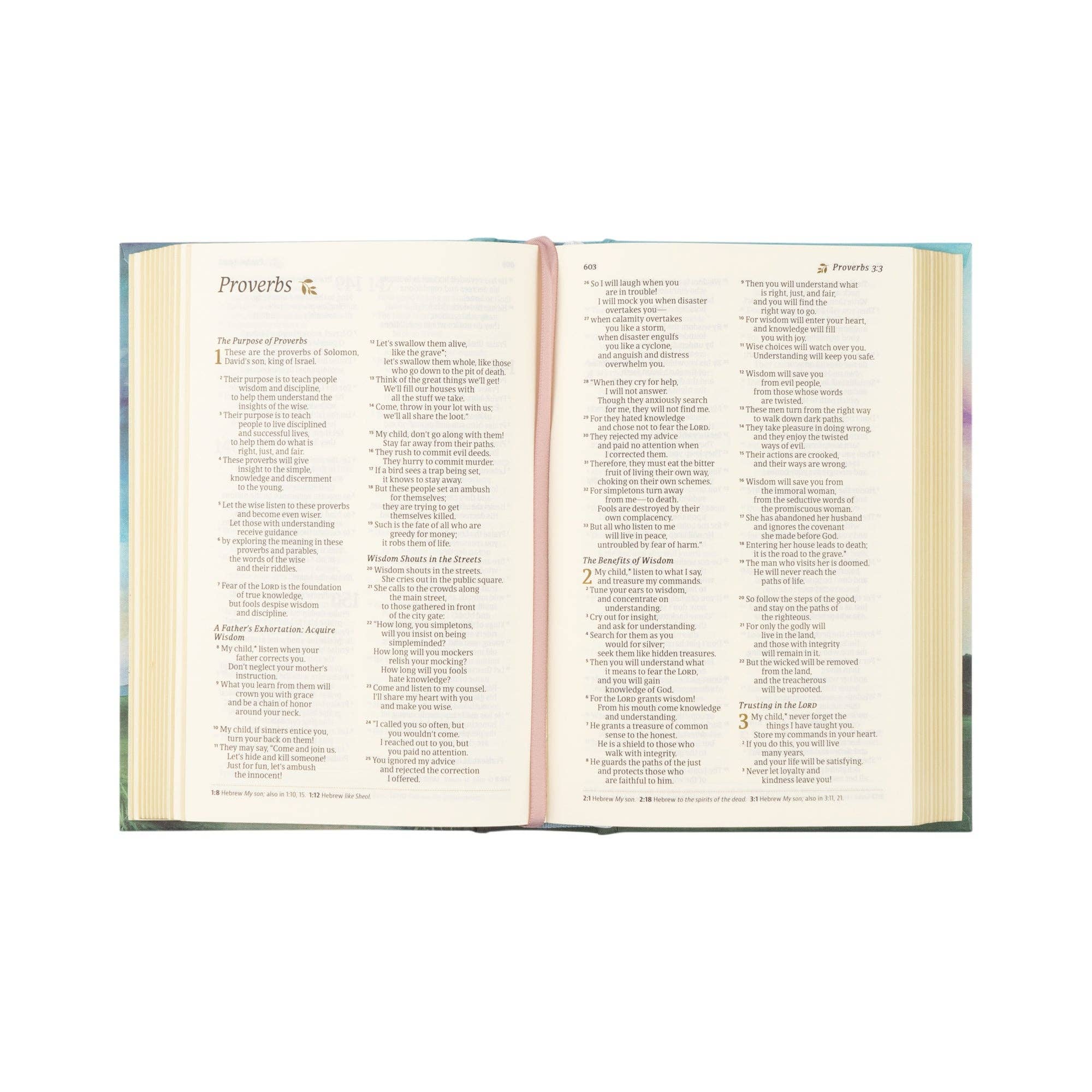 Open book showing pages of text on a white background