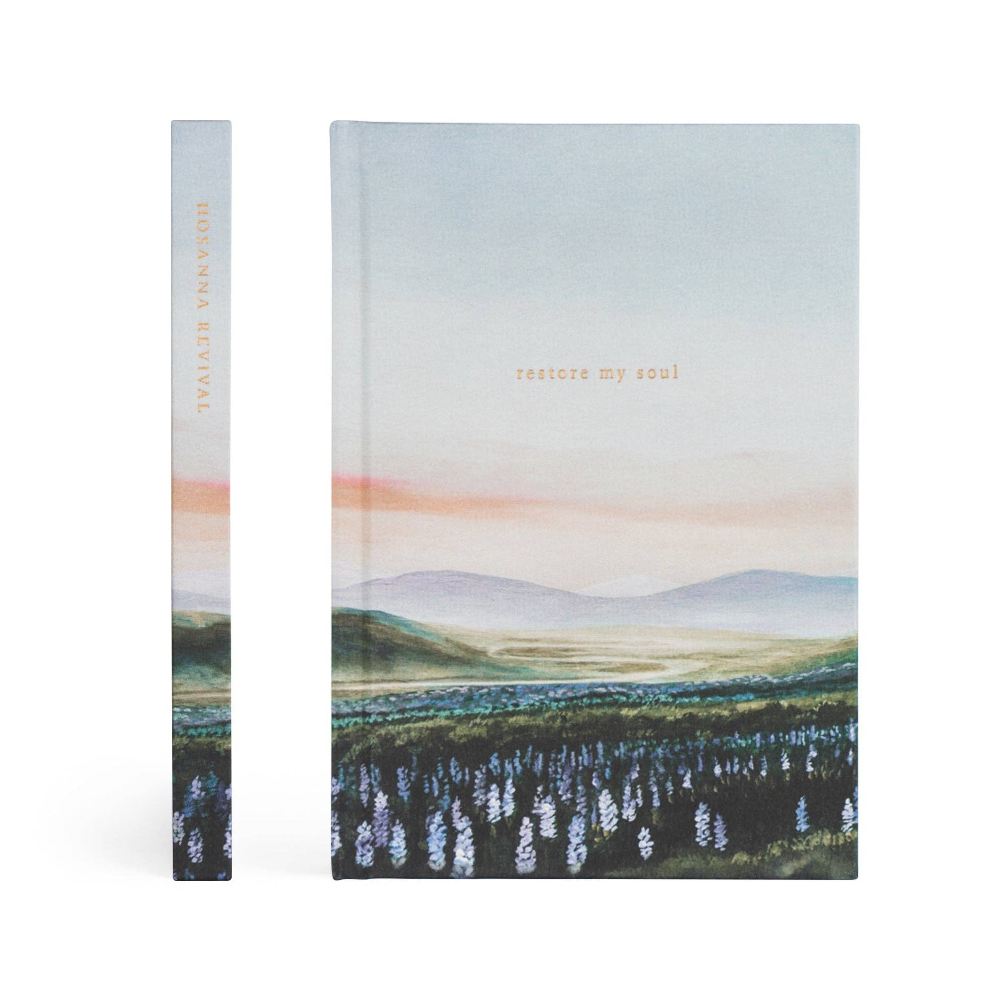 Book cover with a scenic landscape illustration and text on a white background