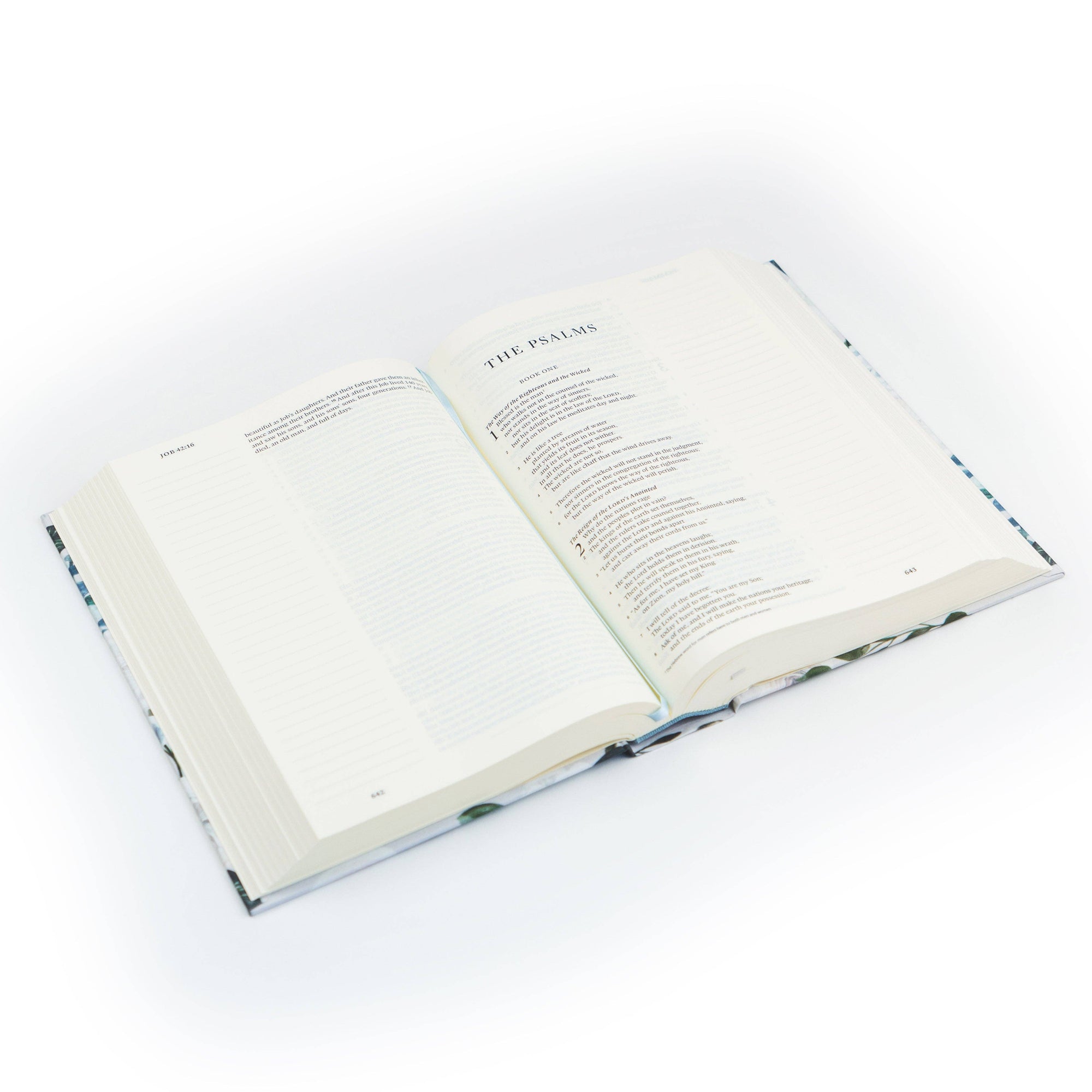 Open book on a white background