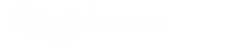 Hvnly Citizen