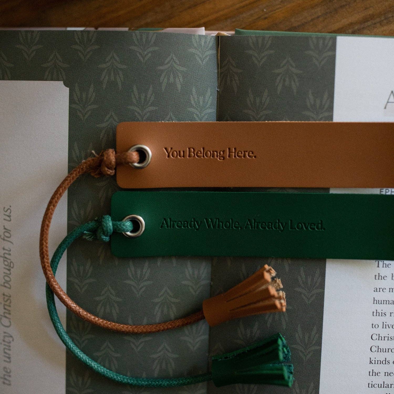 Two leather bookmarks with tassels on a book